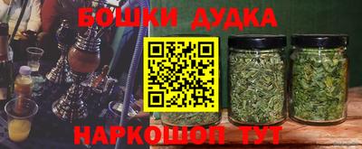 тгк Славгород
