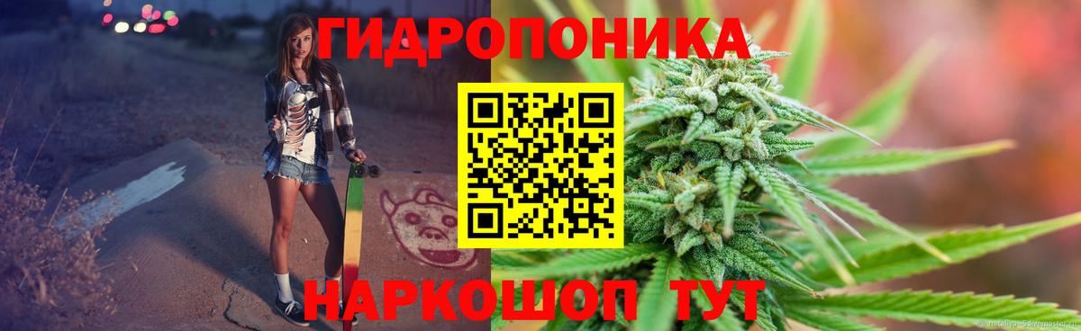 Бошки Шишки конопля  Бошки марихуана тримм  Вход с VPN  Отрадное  Канабис SATIVA & INDICA 